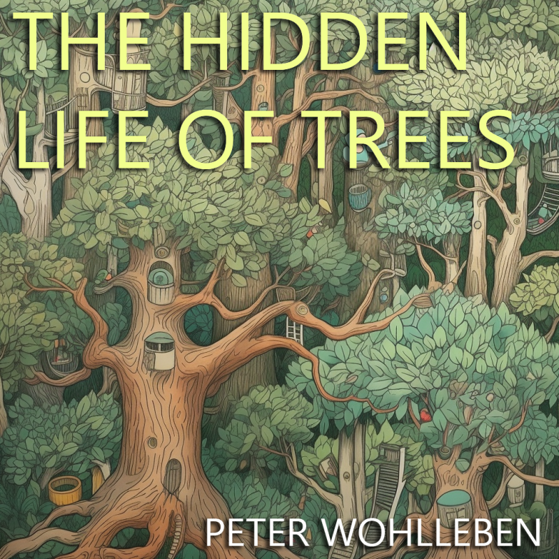 THE HIDDEN LIFE OF TREES